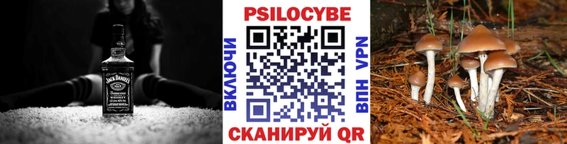 наркошоп  Нефтекумск  Псилоцибиновые грибы мухоморы 