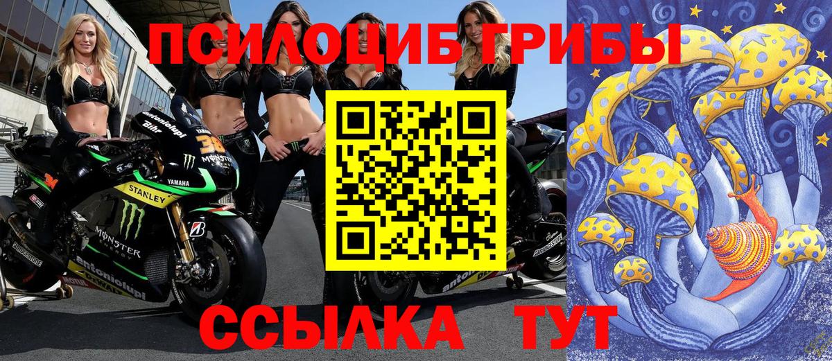 Псилоцибиновые грибы Cubensis Нефтекумск