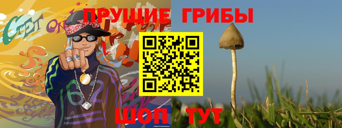 Нефтекумск  Псилоцибиновые грибы Psilocybine cubensis  Вход с VPN  Псилоцибиновые грибы мухоморы 